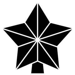 star solid icon