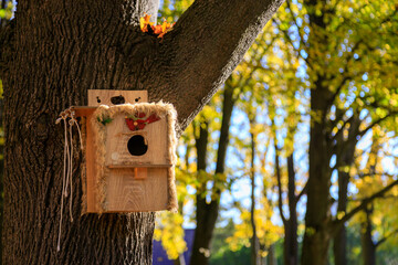 wooden birdhouse for birds set on tree in park