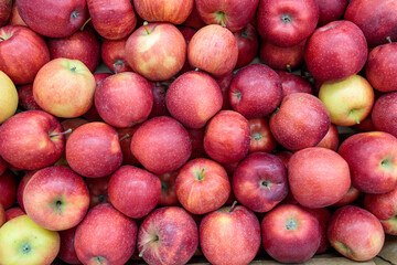 juicy red apples on the store counter