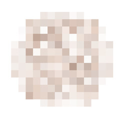 Censored pixel round bar. Nudity skin or sensitive text adult content cover. Censored picture vector illustration.