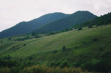 Fototapeta premium Beautiful views and sights of Georgia
