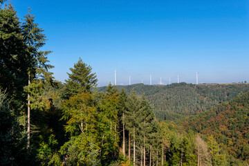 Wind turbines for electricity production over a dense forest in western Germany.