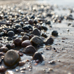 Stones on the beach of the Polish Baltic Sea coast near Kolobrzeg at sunset in backlight 