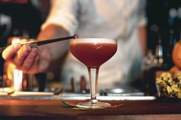 View of a professional bartender kindly garnishing with fruits a cocktail in a beautiful cocktail bar.