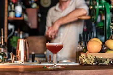 View of a professional bartender kindly garnishing with fruits a cocktail in a beautiful cocktail bar.