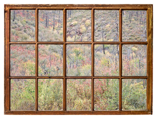 tapestry of shrubs in fall colors and burned forest on slopes in northern Colorado as seen from a vintage sash window