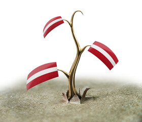 3d sprout with Latvian flag on white