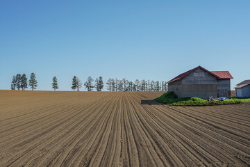 綺麗に手入れされた畑