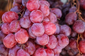 red grapes close up