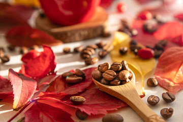 Close-up of a spoonful of roasted coffee beans amidst red and yellow autumn leaves
