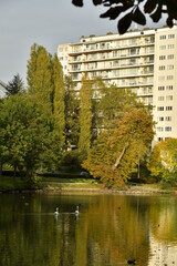 Lumière d'un soir d'automne à l'étang de la Pêcherie entouré de végétation luxuriant à...