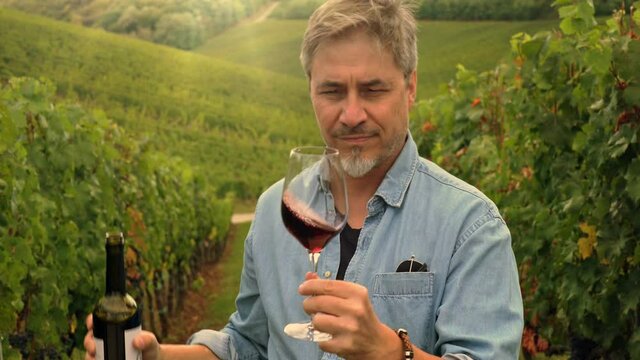 Portrait of happy vintner in vineyard during vintage holding glass of wine, tasting drinking.