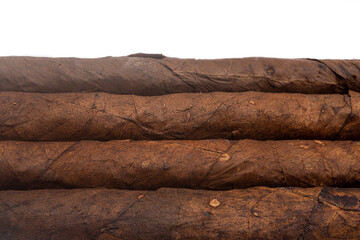 Handmade cigar made by lacandon people in Mexico