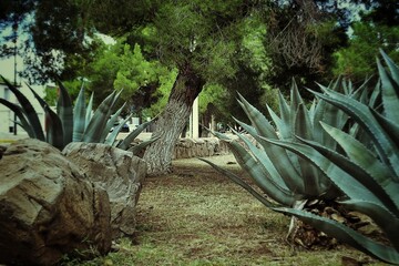 Paisaje de un parque urbano