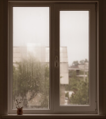 Misted window with a small flower on the windowsill
