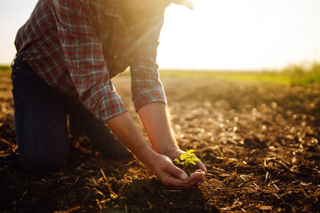 Expert hand of farmer checking soil health before growth a seed of vegetable or plant seedling....