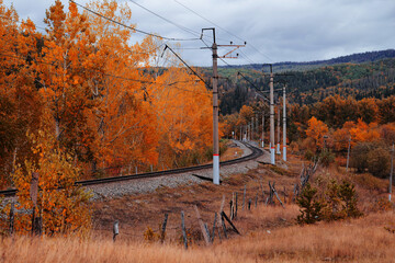 Railroad in the autumn forest