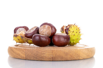 Several dark brown chestnuts on a tray of wood, close-up, isolated on white.