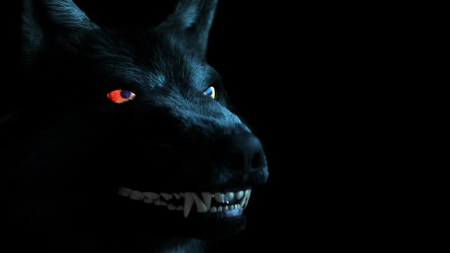 Scary Wolf: The monster comes out of the frame and scares his teeth and growling. Graphical representation of an evil, rabid wolf.