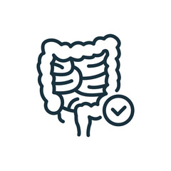 Healthy Colon Line Icon. Internal Digestive Human Organ Outline Icon. Large Intestine Linear Pictogram. Bowel Concept. Editable Stroke. Isolated Vector Illustration