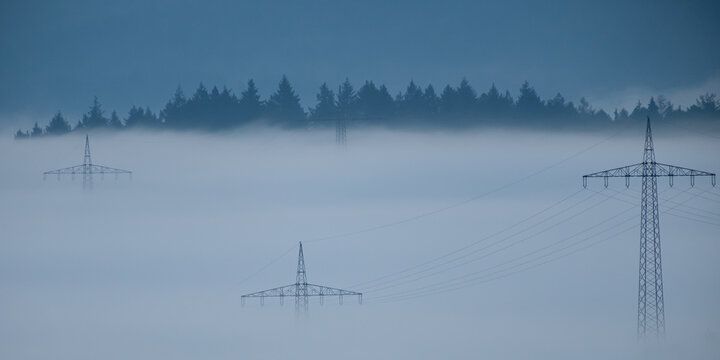 Power poles in dawn fog with forest trees
