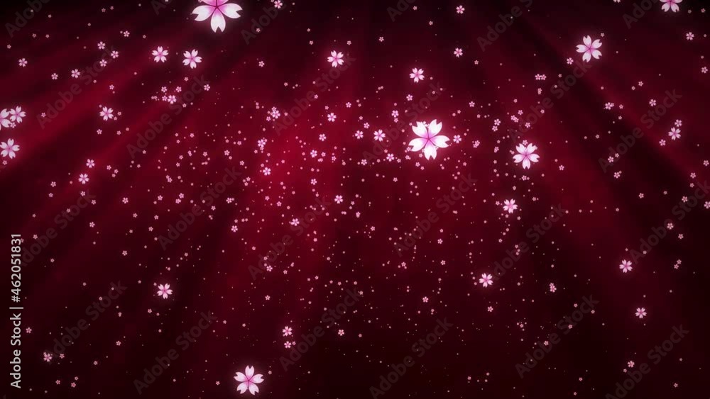 Poster abstract magic red shine blurry burst light from the top and sakura cherry blossoms particles fallin