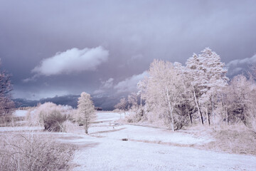 infrared photography - surreal ir photo of landscape with trees under cloudy sky - the art of our...