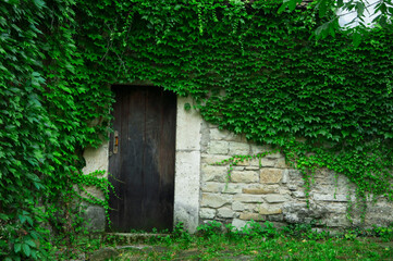 old doors with overgrown walls. stone wall with greenery. father's house concept