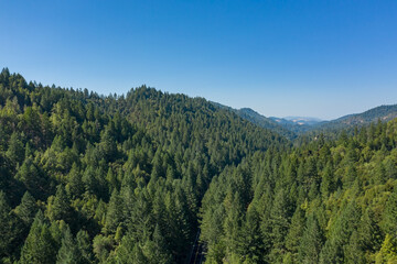 Aerial view of a hills with dense forests in a north California, United States