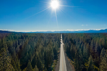 Aerial, drone view of a long, winding road in the middle of the pine tree forest in California United States