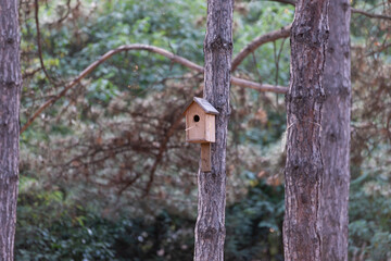 birdhouse on tree