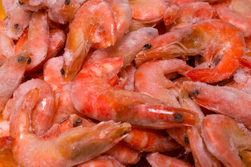 Fresh shrimps in ice. Top view.