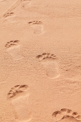 Fototapeta na wymiar Footprint on the beach on a sunny day