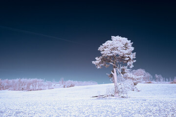infrared photography - surreal ir photo of landscape with trees under cloudy sky - the art of our...