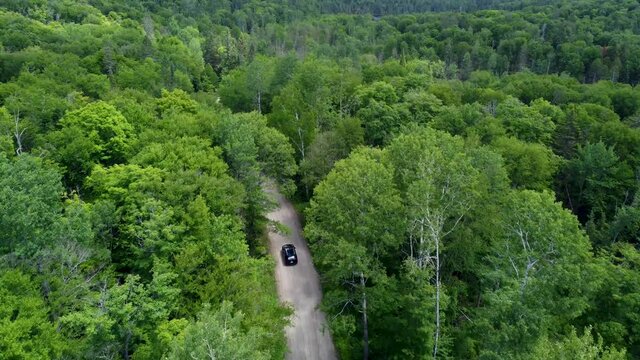Aerial view of a road through the green jungle forest and car driving through the forest, Adventure and travel ecosystem (Laurentides forest - Quebec)