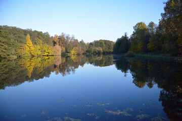 Autumn pond, Trees are reflected in the water