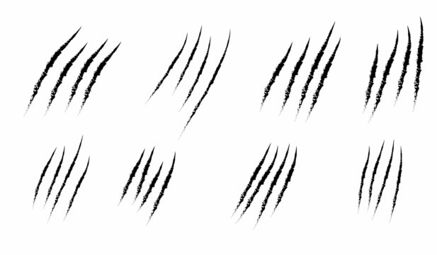 animal Claw scratches mark set. Cat tiger scratches paw shape. isolated on White background