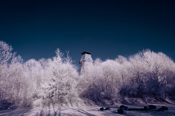 infrared photography - surreal ir photo of landscape with trees under cloudy sky - the art of our...