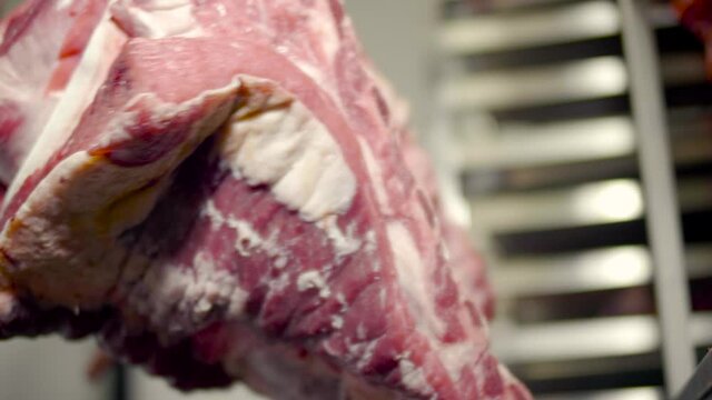 viande, b&oelig;uf, boucherie, animal, merguez, saucisse, hallal, porc