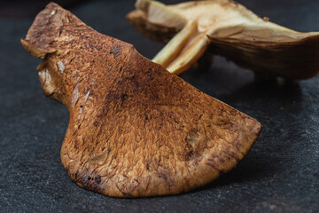 Edible mushrooms - delicious and healthy dietary food