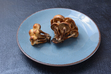 Edible mushrooms - delicious and healthy dietary food