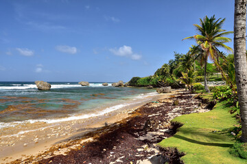 Blue sky above the beach of Bathsheba, East coast of island Barbados, Caribbean Islands