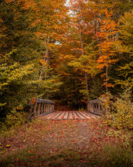 Fall foliage roads