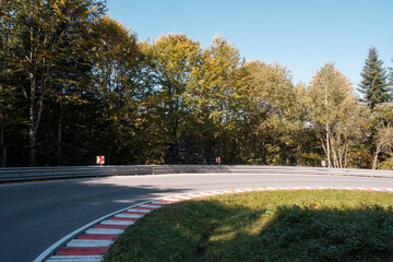Racing track in deep forest with red and white kerbs