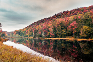 Fall foliage reflecting on Lake