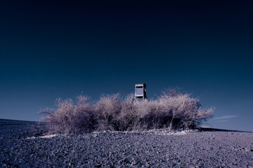 infrared photography - surreal ir photo of landscape with trees under cloudy sky - the art of our...