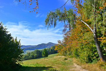 Autumn mountains landscape. Trees on a slope with dry grass and wooded mountains under blue sky with white clouds, Low Beskids (Beskid Niski) - obrazy, fototapety, plakaty