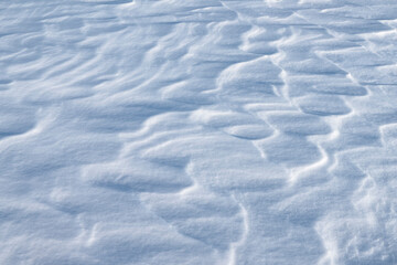 Snow texture. White winter fresh snowflakes background in blue tone