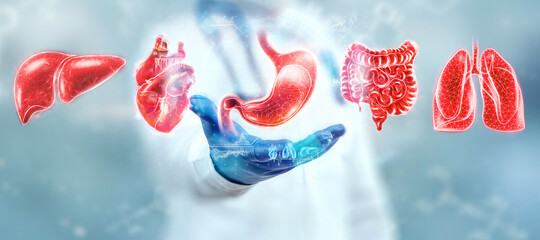 Human internal organs treatment concept. The doctor shows the patient's organs, a hologram with...