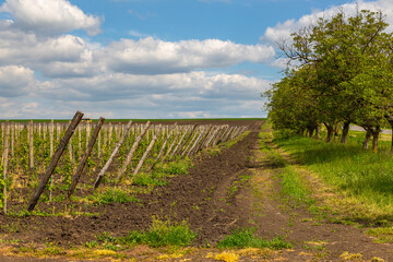 Naklejka premium Farmlands and meadows in the Moldavian, Republic of Moldova.